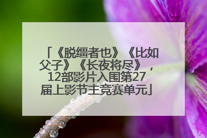 《脱缰者也》《比如父子》《长夜将尽》，12部影片入围第27届上影节主竞赛单元