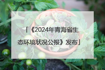 《2024年青海省生态环境状况公报》发布