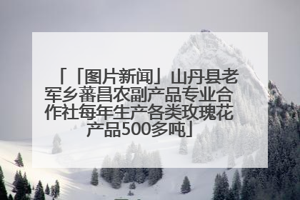 「图片新闻」山丹县老军乡蕃昌农副产品专业合作社每年生产各类玫瑰花产品500多吨