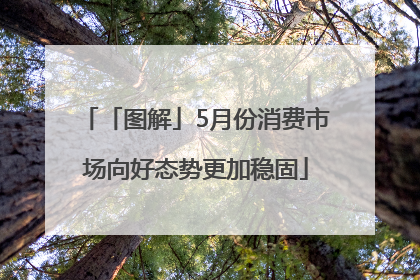 「图解」5月份消费市场向好态势更加稳固