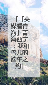 「央媒看青海」青海西宁：我和鸟儿的端午之约