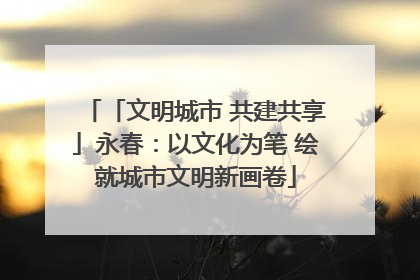 「文明城市 共建共享」永春：以文化为笔 绘就城市文明新画卷