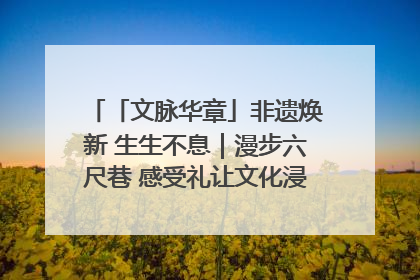 「文脉华章」非遗焕新 生生不息｜漫步六尺巷 感受礼让文化浸润的“巷”往生活