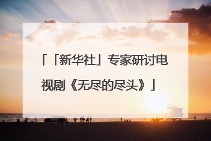 「新华社」专家研讨电视剧《无尽的尽头》