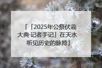 「2025年公祭伏羲大典·记者手记」在天水 听见历史的脉搏