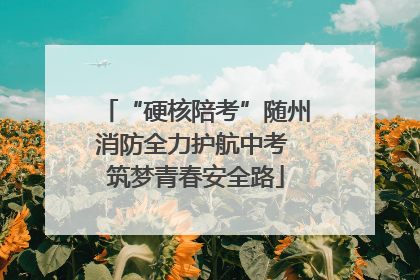 “硬核陪考”随州消防全力护航中考 筑梦青春安全路