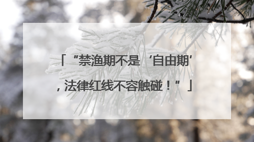 “禁渔期不是‘自由期’，法律红线不容触碰！”
