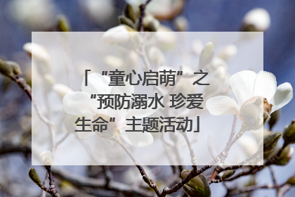 “童心启萌”之“预防溺水 珍爱生命”主题活动