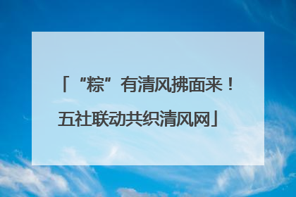 “粽”有清风拂面来！五社联动共织清风网