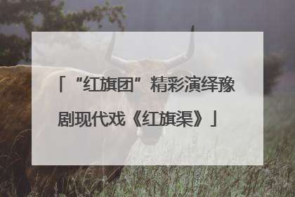 “红旗团”精彩演绎豫剧现代戏《红旗渠》