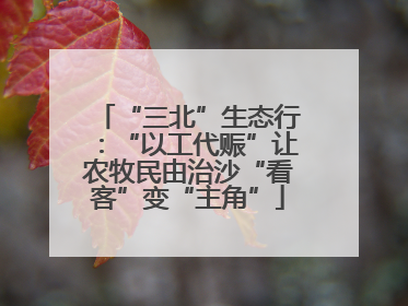 “三北”生态行：“以工代赈”让农牧民由治沙“看客”变“主角”