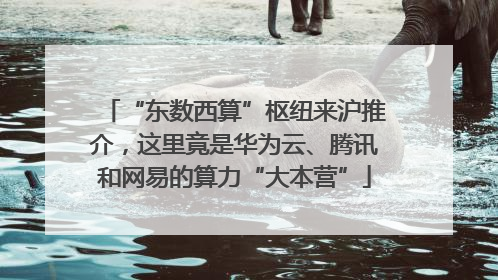 “东数西算”枢纽来沪推介，这里竟是华为云、腾讯和网易的算力“大本营”
