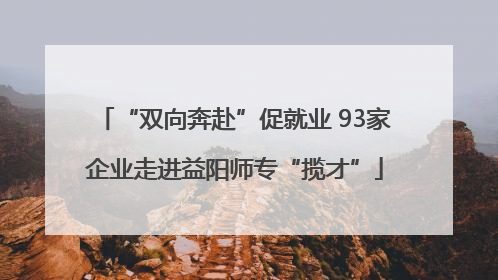 “双向奔赴”促就业 93家企业走进益阳师专“揽才”