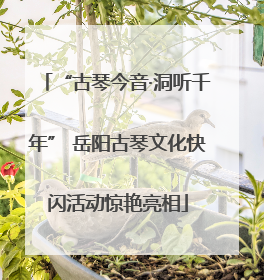 “古琴今音·洞听千年” 岳阳古琴文化快闪活动惊艳亮相