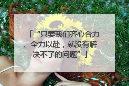 “只要我们齐心合力、全力以赴，就没有解决不了的问题”