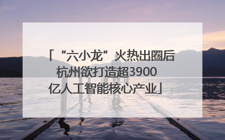 “六小龙”火热出圈后 杭州欲打造超3900亿人工智能核心产业
