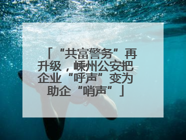 “共富警务”再升级，嵊州公安把企业“呼声”变为助企“哨声”
