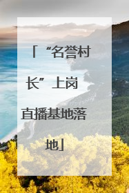 “名誉村长”上岗 直播基地落地