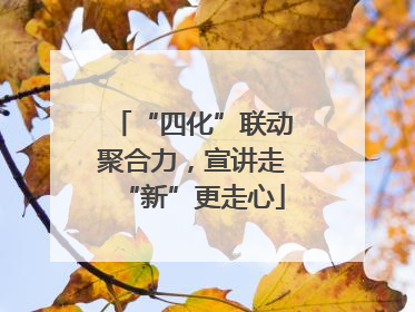 “四化”联动聚合力，宣讲走“新”更走心