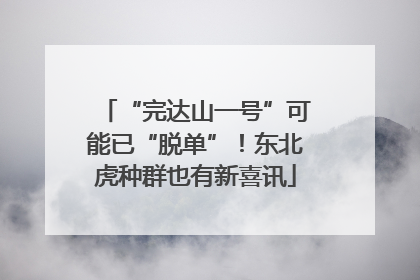 “完达山一号”可能已“脱单”！东北虎种群也有新喜讯