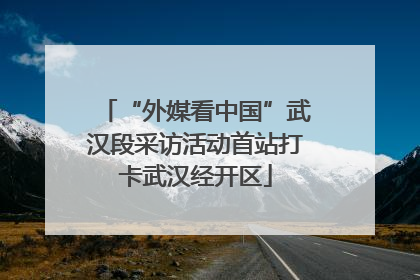 “外媒看中国”武汉段采访活动首站打卡武汉经开区