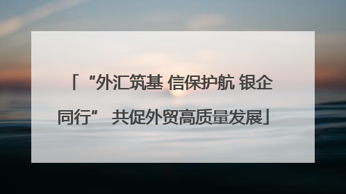 “外汇筑基 信保护航 银企同行” 共促外贸高质量发展