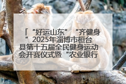 “好运山东”“齐健身”2025年淄博市桓台县第十五届全民健身运动会开赛仪式暨“农业银行杯”第一届社区工作队伍运动会开赛