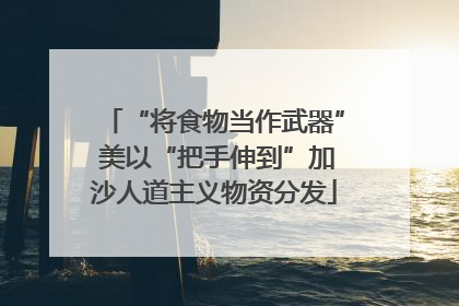 “将食物当作武器” 美以“把手伸到”加沙人道主义物资分发