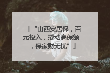 “山西安居保，百元投入，撬动高保额，保家财无忧”