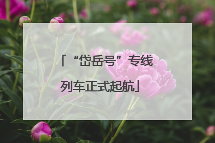 “岱岳号”专线列车正式起航