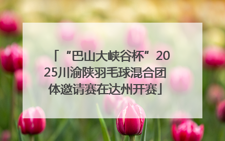 “巴山大峡谷杯”2025川渝陕羽毛球混合团体邀请赛在达州开赛