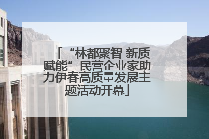“林都聚智 新质赋能”民营企业家助力伊春高质量发展主题活动开幕
