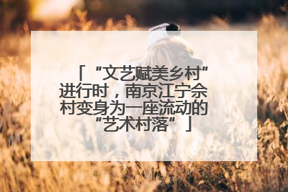 “文艺赋美乡村”进行时，南京江宁佘村变身为一座流动的“艺术村落”