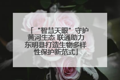 “智慧天眼”守护黄河生态 联通助力东明县打造生物多样性保护新范式