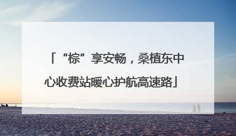 “棕”享安畅，桑植东中心收费站暖心护航高速路