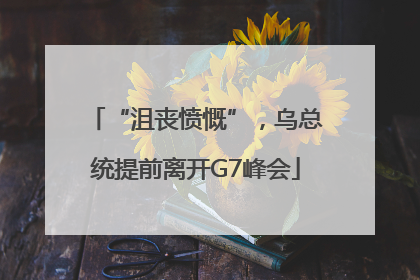 “沮丧愤慨”，乌总统提前离开G7峰会