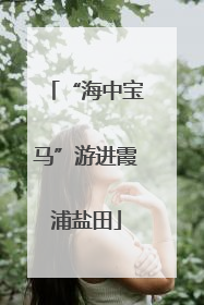 “海中宝马”游进霞浦盐田