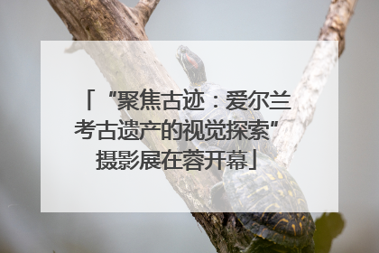 “聚焦古迹：爱尔兰考古遗产的视觉探索”摄影展在蓉开幕