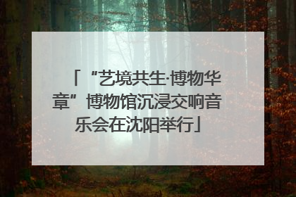 “艺境共生·博物华章”博物馆沉浸交响音乐会在沈阳举行