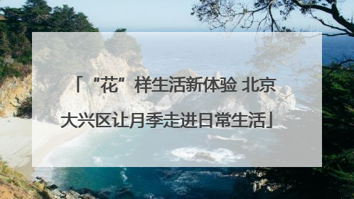 “花”样生活新体验 北京大兴区让月季走进日常生活