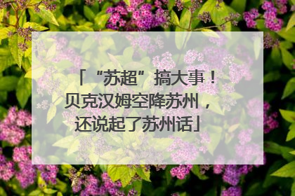 “苏超”搞大事！贝克汉姆空降苏州，还说起了苏州话