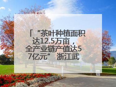 “茶叶种植面积达12.5万亩，全产业链产值达57亿元” 浙江武义茶产业全链发展“加速度”