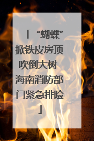 “蝴蝶”掀铁皮房顶吹倒大树 海南消防部门紧急排险