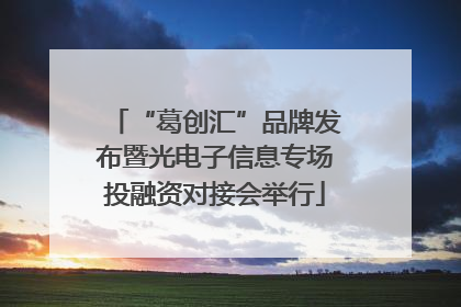 “葛创汇”品牌发布暨光电子信息专场投融资对接会举行