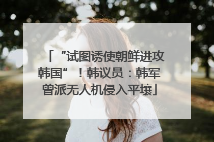 “试图诱使朝鲜进攻韩国”！韩议员：韩军曾派无人机侵入平壤