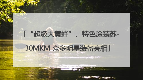 “超级大黄蜂”、特色涂装苏-30MKM 众多明星装备亮相