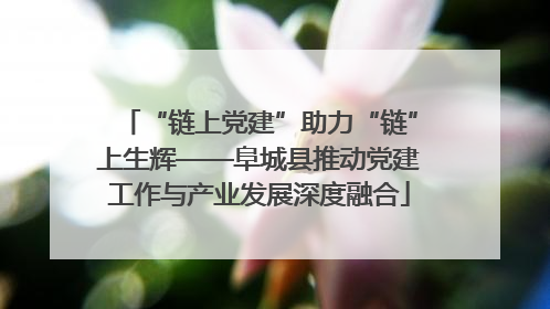 “链上党建”助力“链”上生辉——阜城县推动党建工作与产业发展深度融合