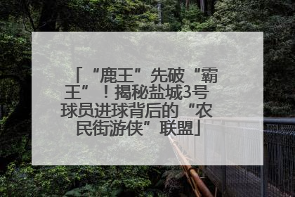 “鹿王”先破“霸王”！揭秘盐城3号球员进球背后的“农民街游侠”联盟