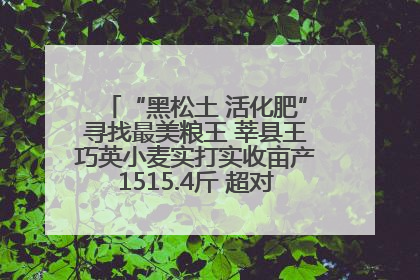 “黑松土 活化肥”寻找最美粮王 莘县王巧英小麦实打实收亩产1515.4斤 超对照田144斤！