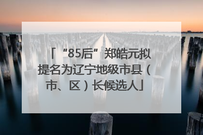 “85后”郑皓元拟提名为辽宁地级市县（市、区）长候选人